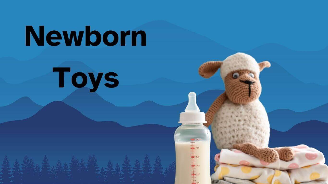 newborn toys