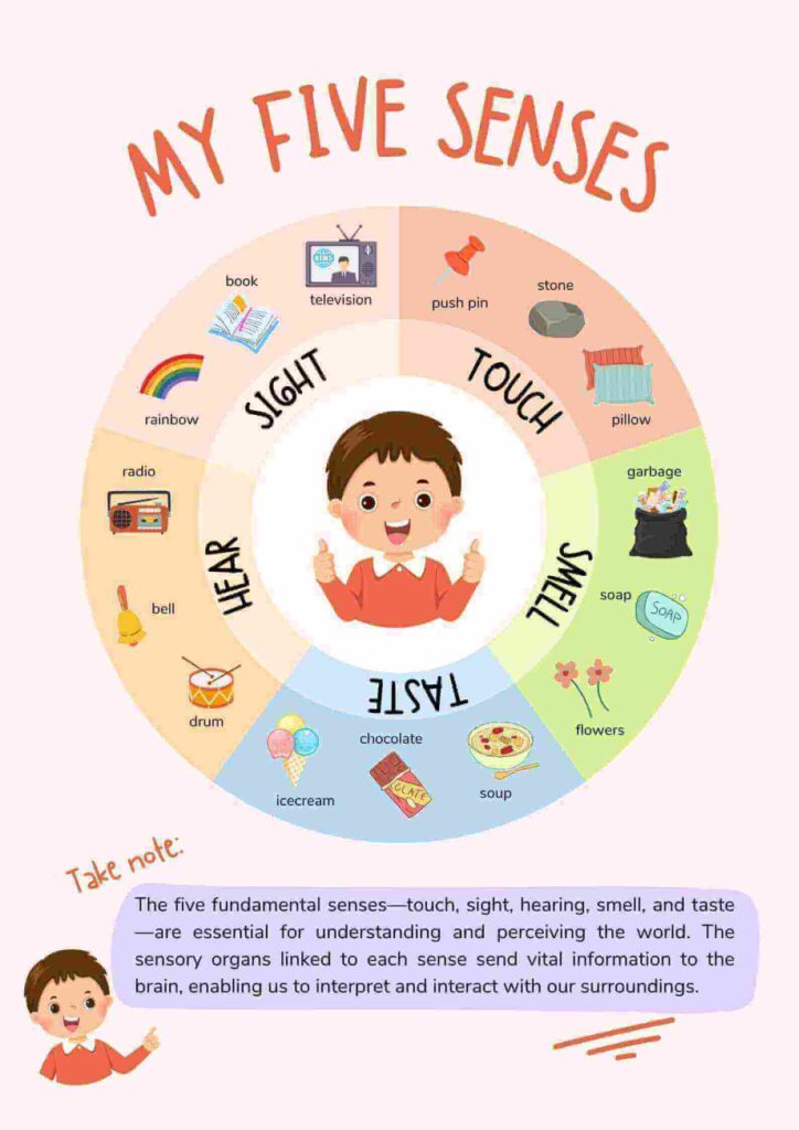 How Your Child’s Senses Develop